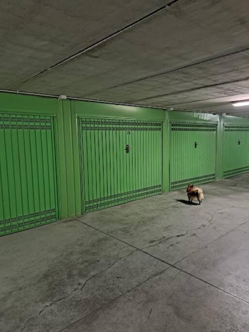 Апартаменты Centrale Vicino Spiagge E Ciclabile + Box-Auto ! Арма-ди-Таджа Экстерьер фото